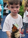 Alex_ButterflyFieldTrip (24)